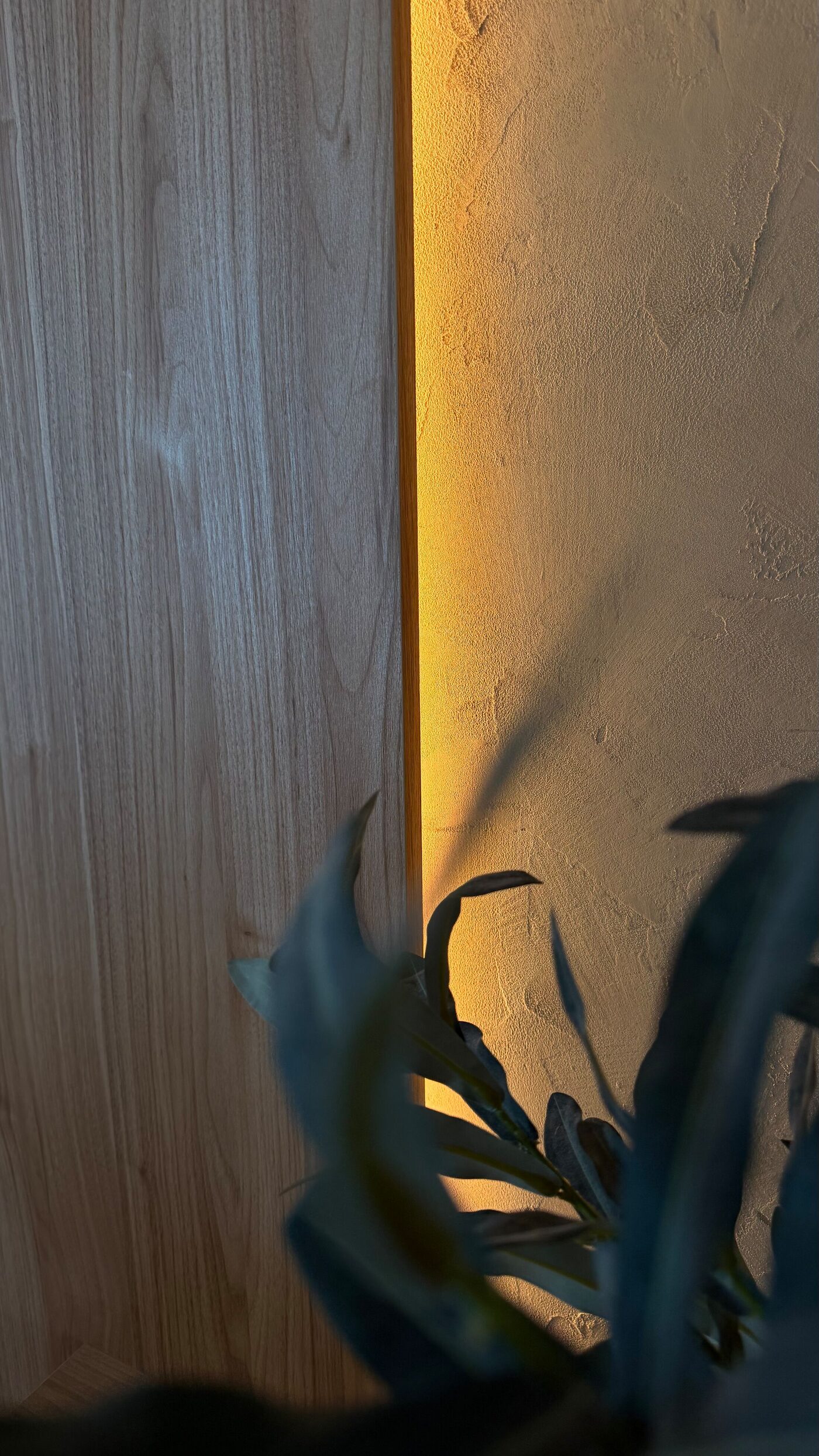 Textured microcement beside a wood-toned panel, grazed by a line of indirect LED light.