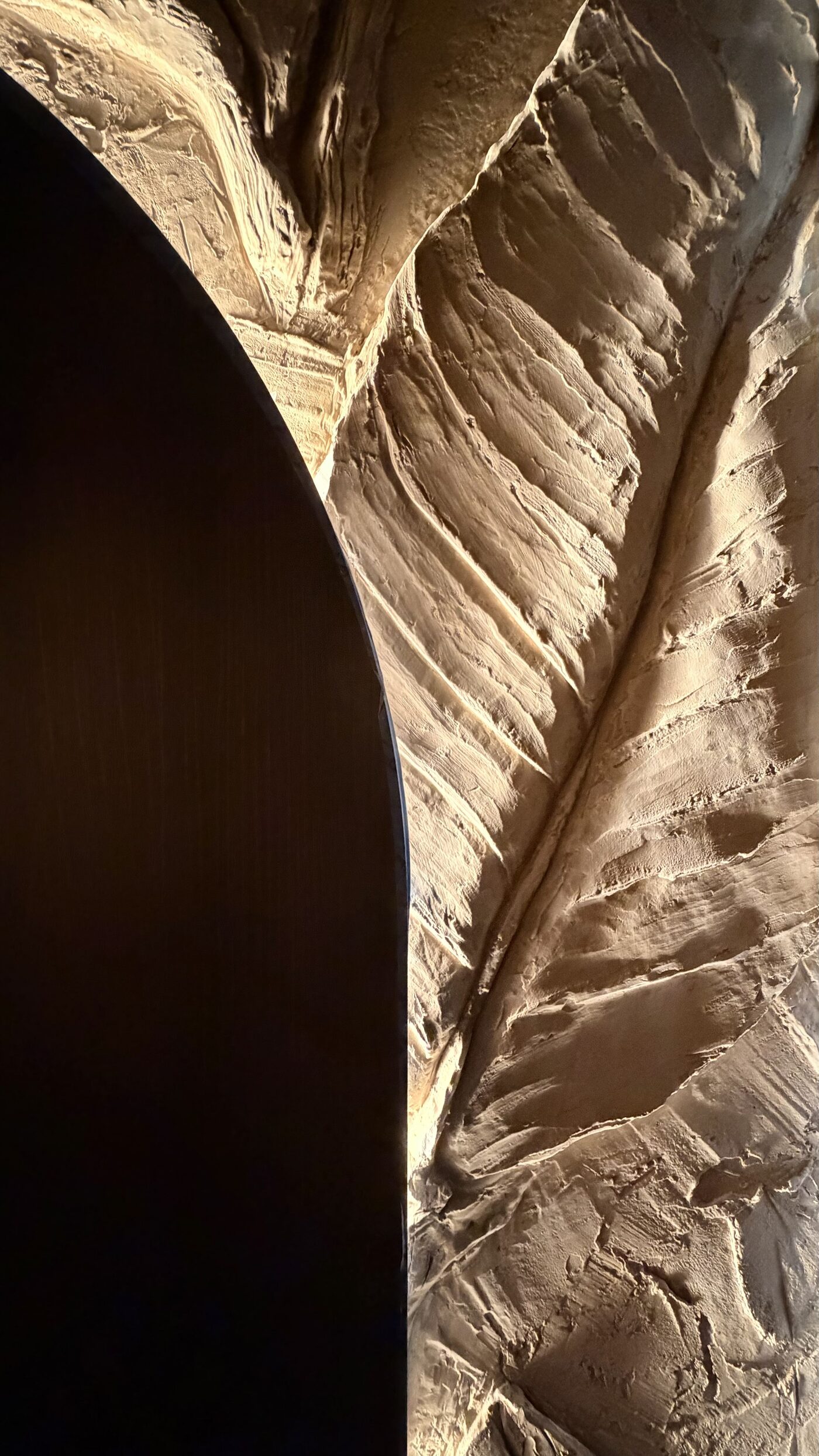 Sculpted leaf relief under grazing light.